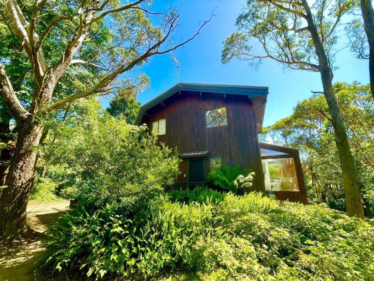 Sublime Cedar Lodge Leura Exterior photo