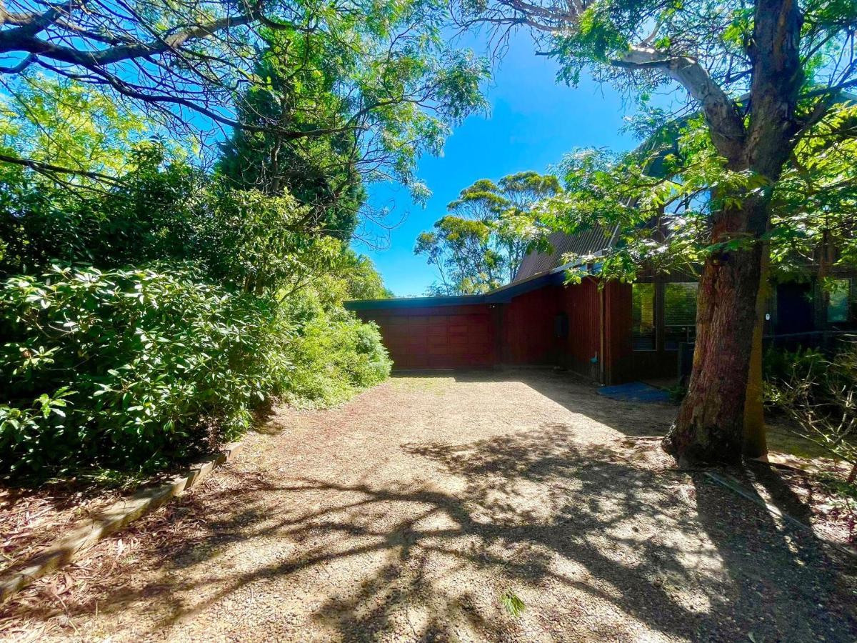 Sublime Cedar Lodge Leura Exterior photo