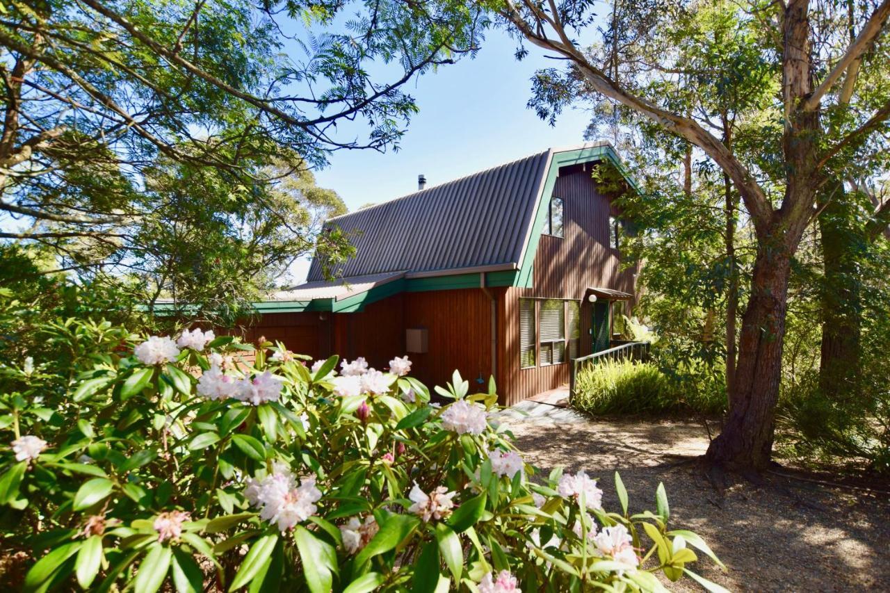 Sublime Cedar Lodge Leura Exterior photo